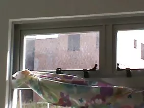 Nena seductora de yoga follada interracial