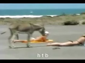 Lamiendo un chorrito
